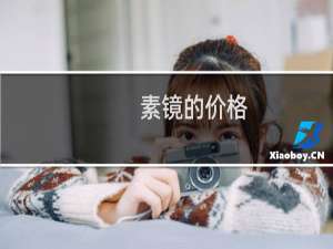 素镜的价格