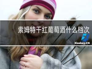 索姆特干红葡萄酒什么档次
