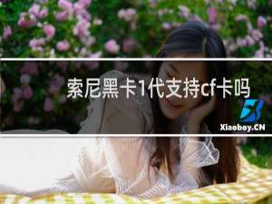 索尼黑卡1代支持cf卡吗
