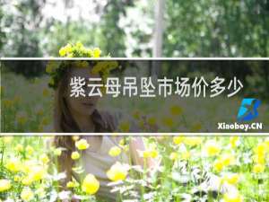 紫云母吊坠市场价多少