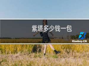 紫塔多少钱一包