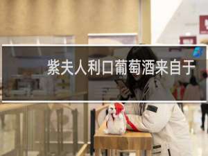 紫夫人利口葡萄酒来自于哪个国家
