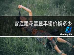 紫底飘花翡翠手镯价格多少