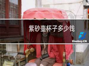 紫砂壶杯子多少钱