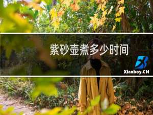 紫砂壶煮多少时间
