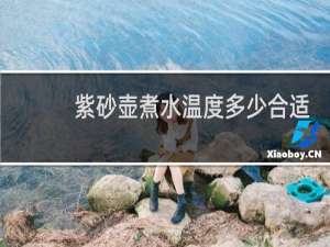 紫砂壶煮水温度多少合适