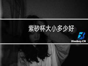 紫砂杯大小多少好
