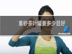 紫砂茶叶罐要多少目好