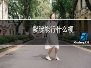 紫腚能行什么梗