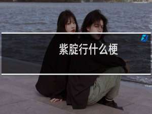 紫腚行什么梗
