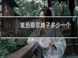 紫色翡翠牌子多少一个
