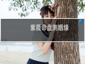 紫薇命盘测姻缘