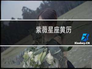 紫薇星座黄历