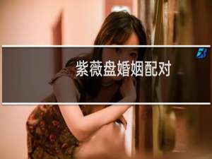 紫薇盘婚姻配对