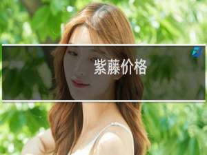 紫藤价格