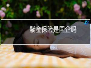 紫金保险是国企吗