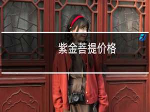 紫金菩提价格