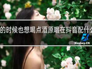 累了的时候也想喝点酒原唱在抖音配什么评论合适