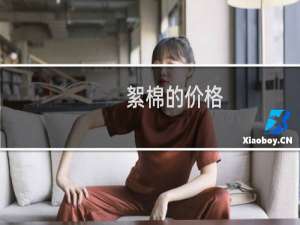 絮棉的价格