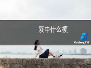 繁中什么梗