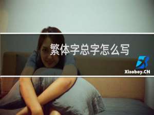繁体字总字怎么写