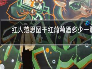 红人范思图干红葡萄酒多少一瓶