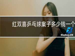 红双喜乒乓球案子多少钱一个