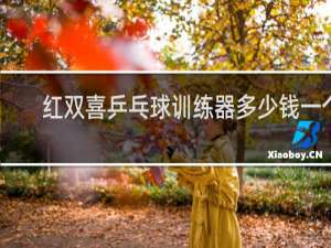 红双喜乒乓球训练器多少钱一个
