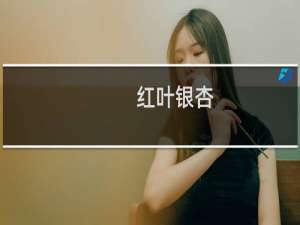 红叶银杏