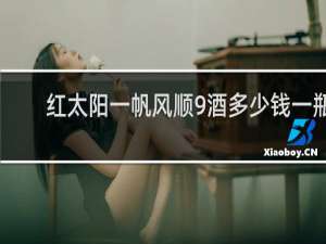 红太阳一帆风顺9酒多少钱一瓶