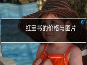 红宝书的价格与图片