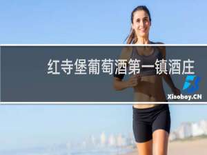 红寺堡葡萄酒第一镇酒庄