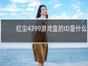 红尘4399游戏盒的ID是什么