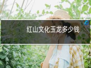 红山文化玉龙多少钱