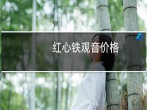 红心铁观音价格