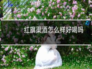红旗渠酒怎么样好喝吗