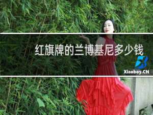 红旗牌的兰博基尼多少钱