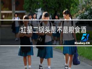 红星二锅头是不是粮食酒