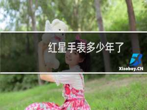 红星手表多少年了