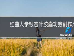 红曲人参银杏叶胶囊功效副作用