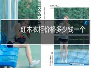 红木衣柜价格多少钱一个