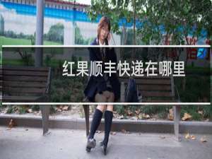 红果顺丰快递在哪里