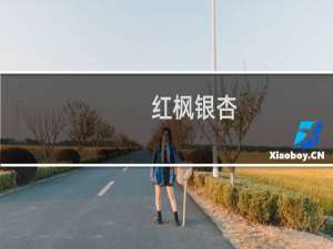 红枫银杏