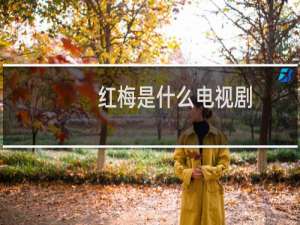 红梅是什么电视剧