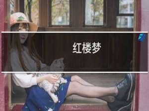 红楼梦,简介