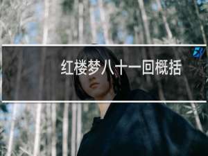 红楼梦八十一回概括