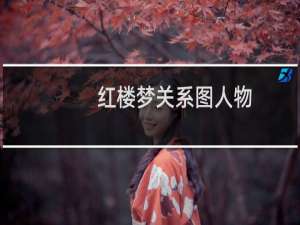 红楼梦关系图人物