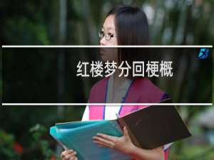 红楼梦分回梗概