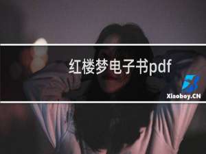 红楼梦电子书pdf