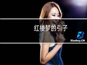 红楼梦的引子